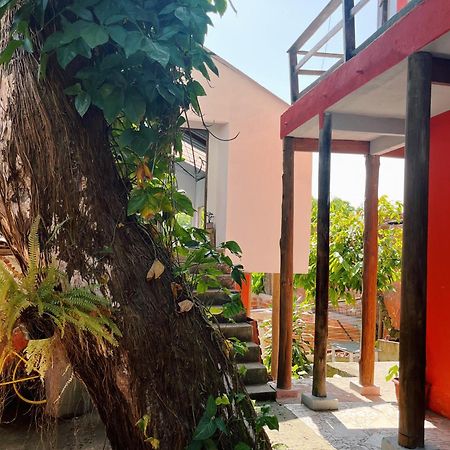 Morada Cacauera Apartment Itacaré Exterior foto